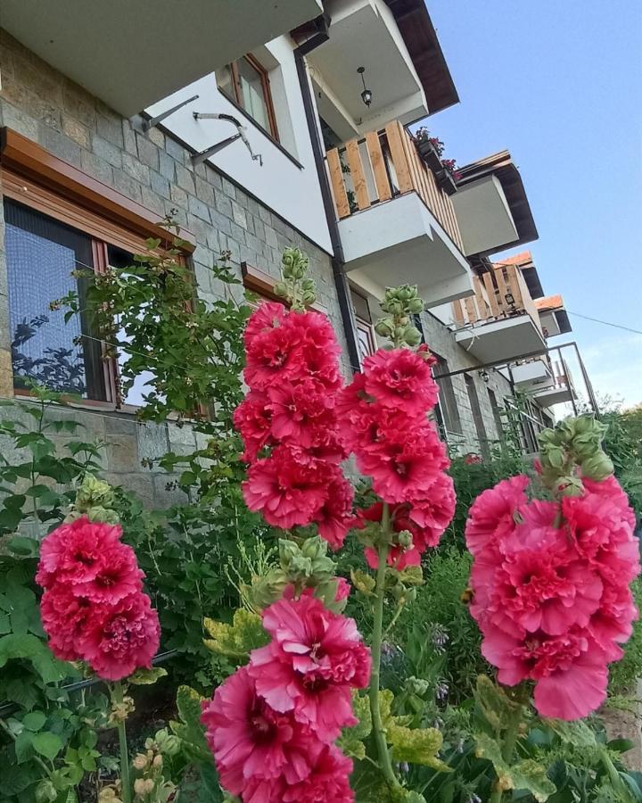 Lesnovo House Tomevski Экстерьер фото